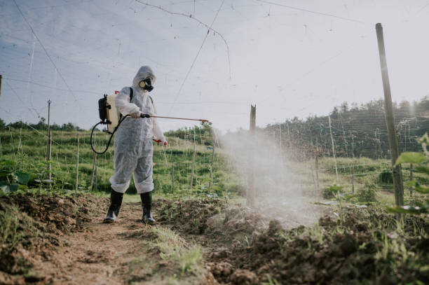 Best Best Pest Control Near Me  in Fmington, AR