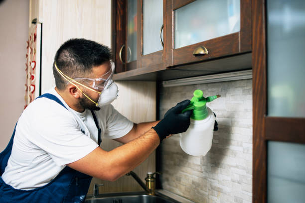 Best Exterminator Services  in Fmington, AR