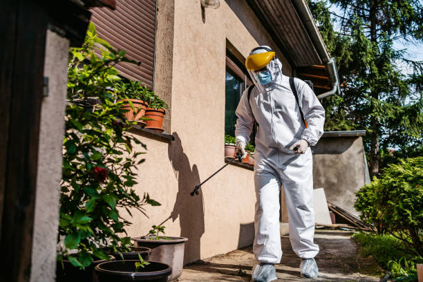 Wildlife Control Services in Farmington, AR