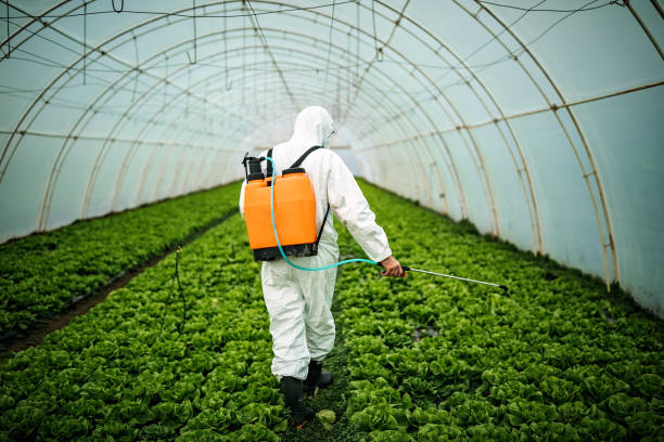 Best Best Pest Control Companies  in Fmington, AR