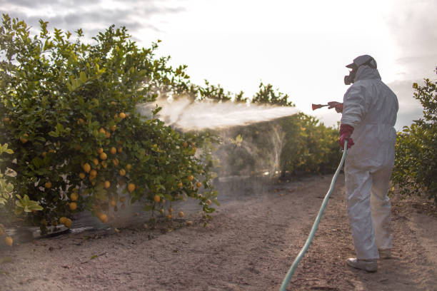  Fmington, AR Pest Control Pros