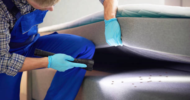 Best Pest Inspection Near Me  in Fmington, AR