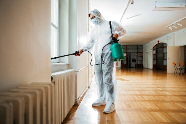 Best Flea Control Services  in Fmington, AR